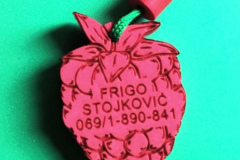 Frigo-Stojkovic